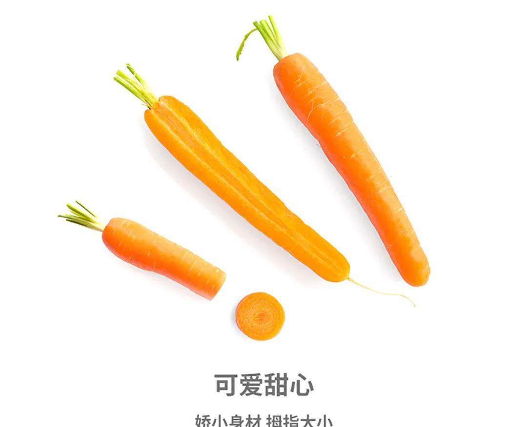 有机吮指胡萝卜 - 第12张 有机吮指胡萝卜 - 第12张
