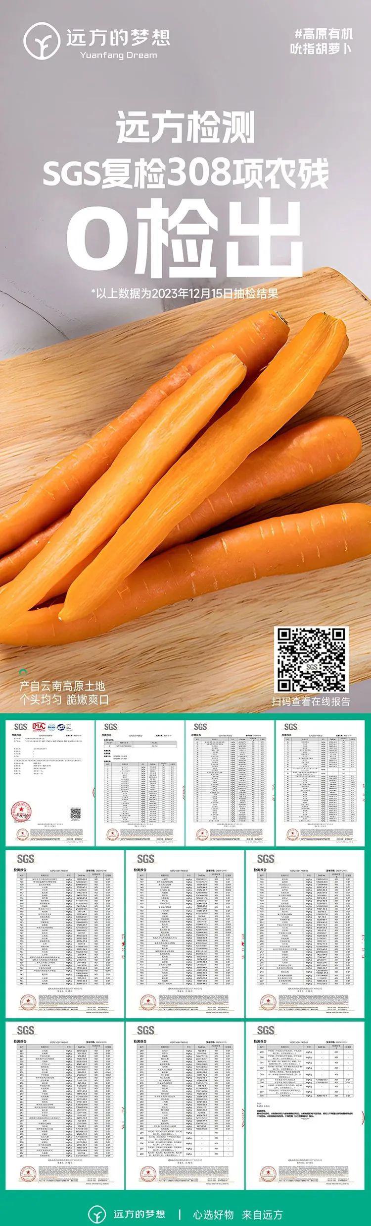 有机吮指胡萝卜 - 第23张 有机吮指胡萝卜 - 第23张
