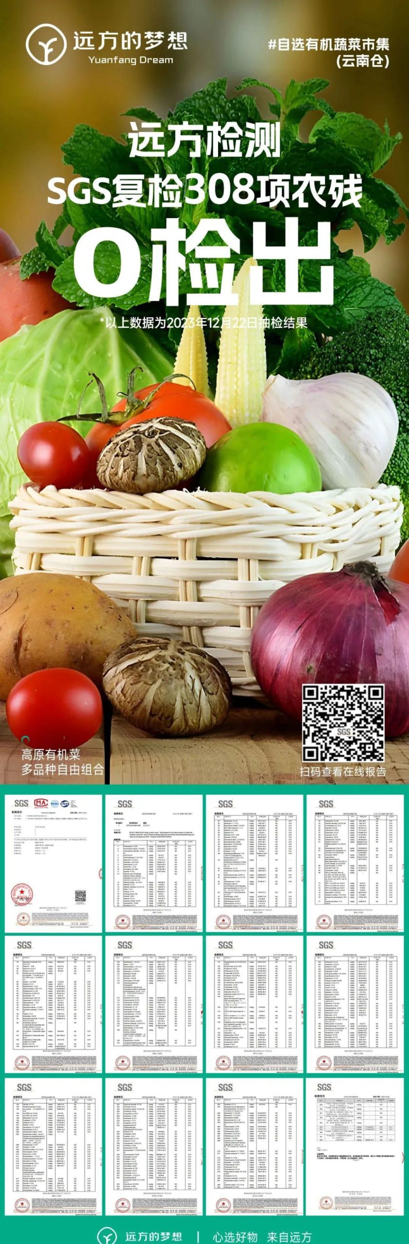 高原有机蔬菜组合 - 第22张 高原有机蔬菜组合 - 第22张