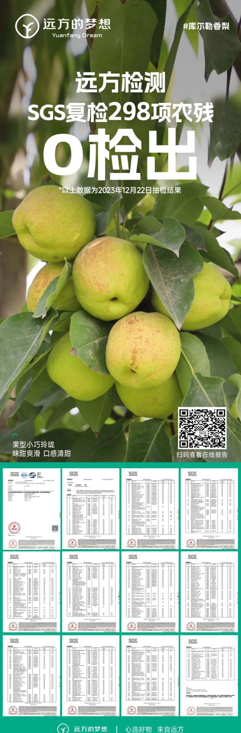 远方的梦想生鲜频道 | 库尔勒香梨 - 第3张 远方的梦想生鲜频道 | 库尔勒香梨 - 第3张