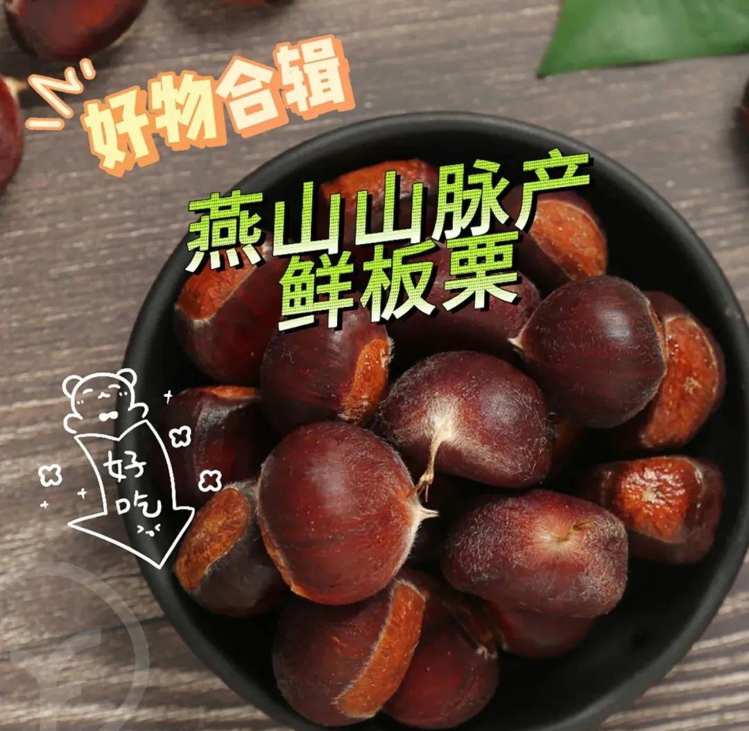 有机鲜板栗 - 第11张 有机鲜板栗 - 第11张