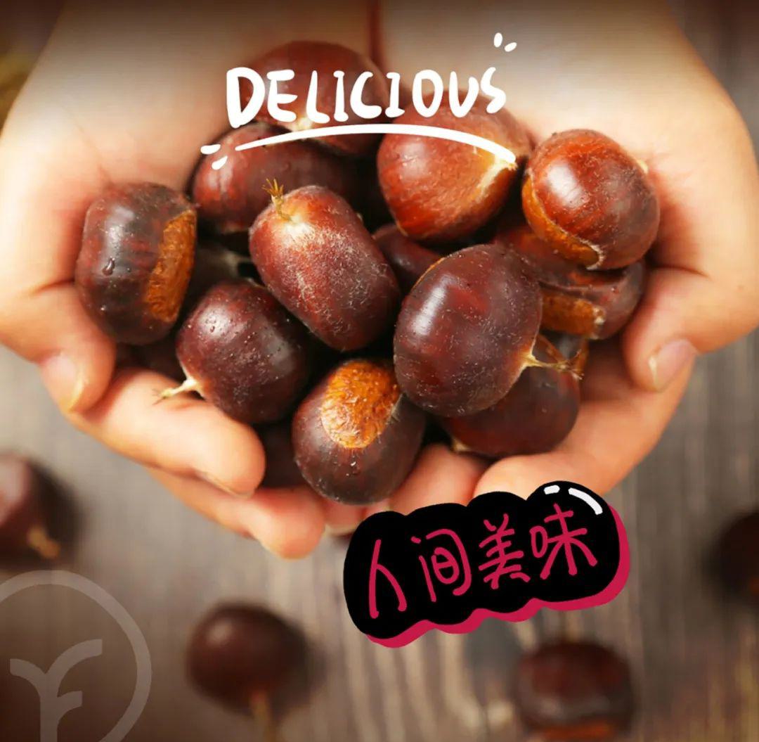 有机鲜板栗 - 第13张 有机鲜板栗 - 第13张