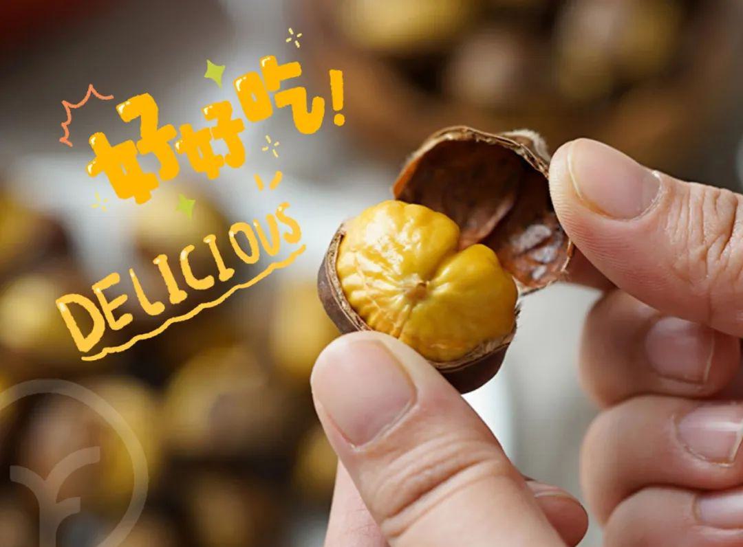 有机鲜板栗 - 第28张 有机鲜板栗 - 第28张
