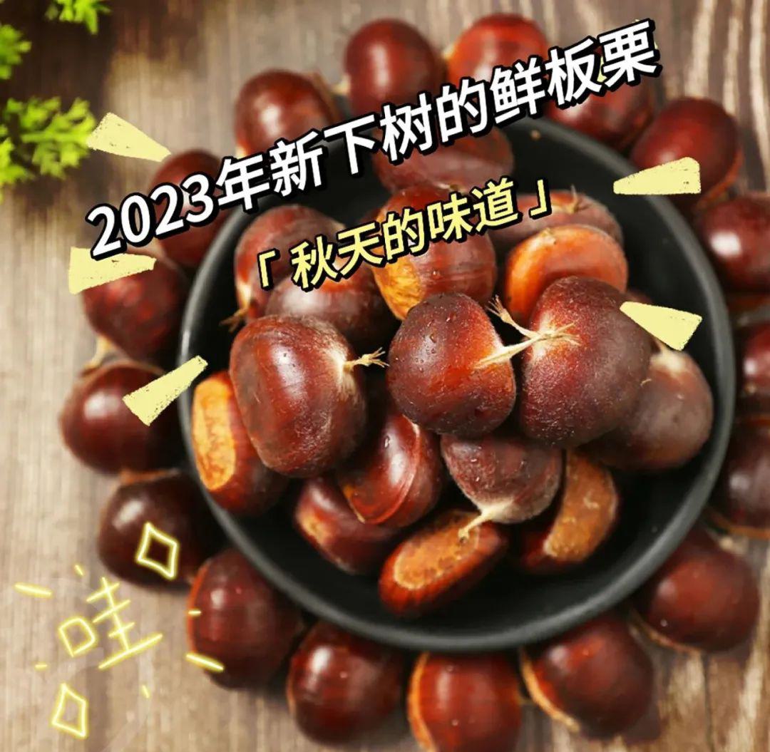 有机鲜板栗 - 第29张 有机鲜板栗 - 第29张