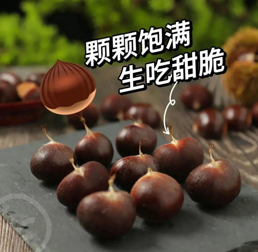 有机鲜板栗 - 第31张 有机鲜板栗 - 第31张