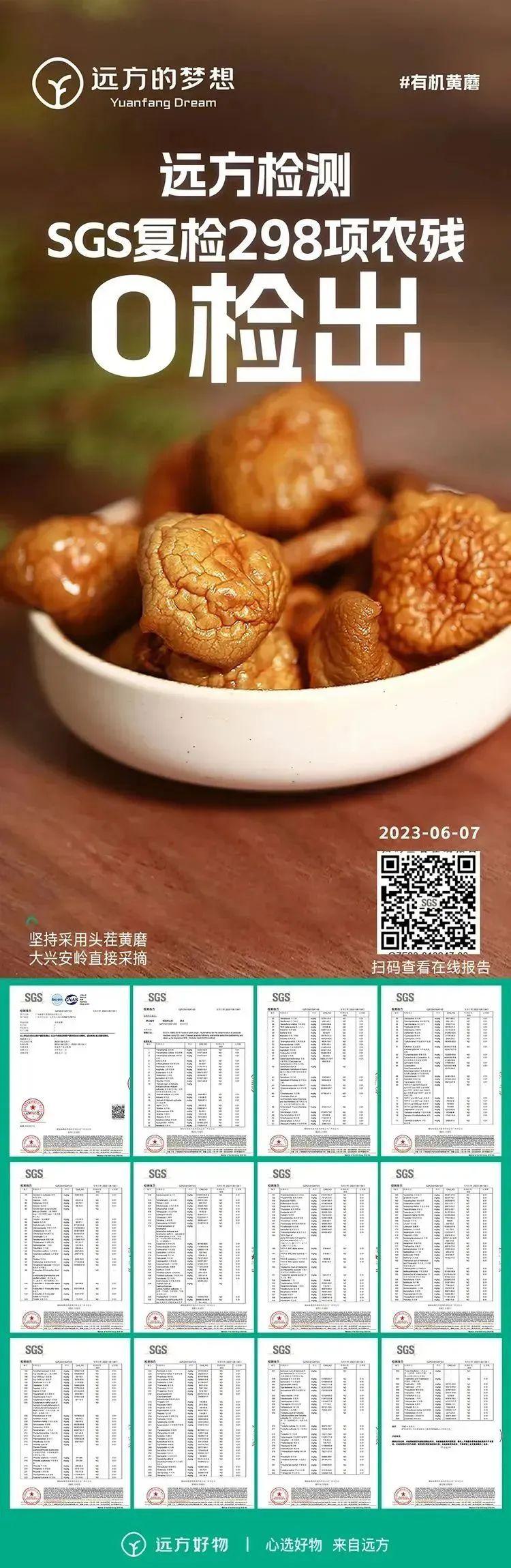 远方的梦想有机黄蘑 - 第21张 远方的梦想有机黄蘑 - 第21张