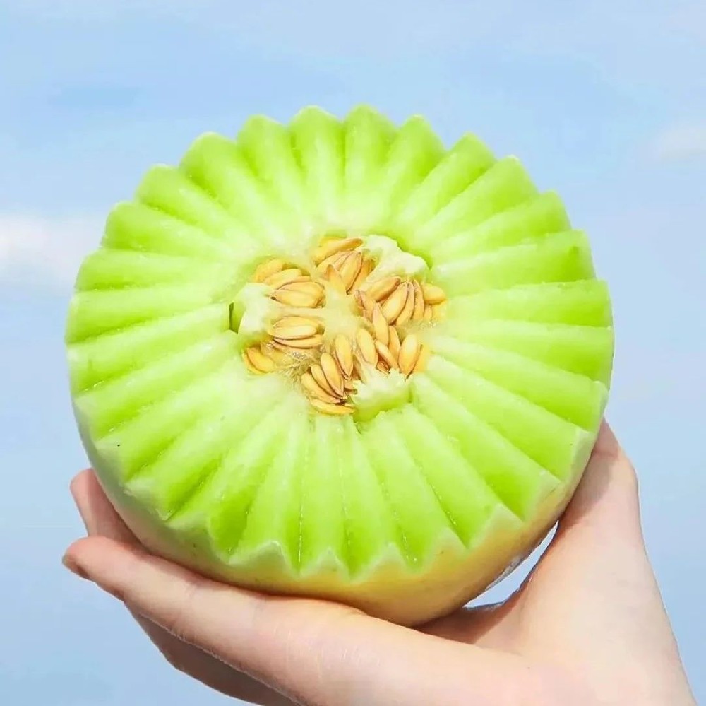 远方好物生鲜频道玉菇甜瓜 - 第1张 远方好物生鲜频道玉菇甜瓜 - 第1张