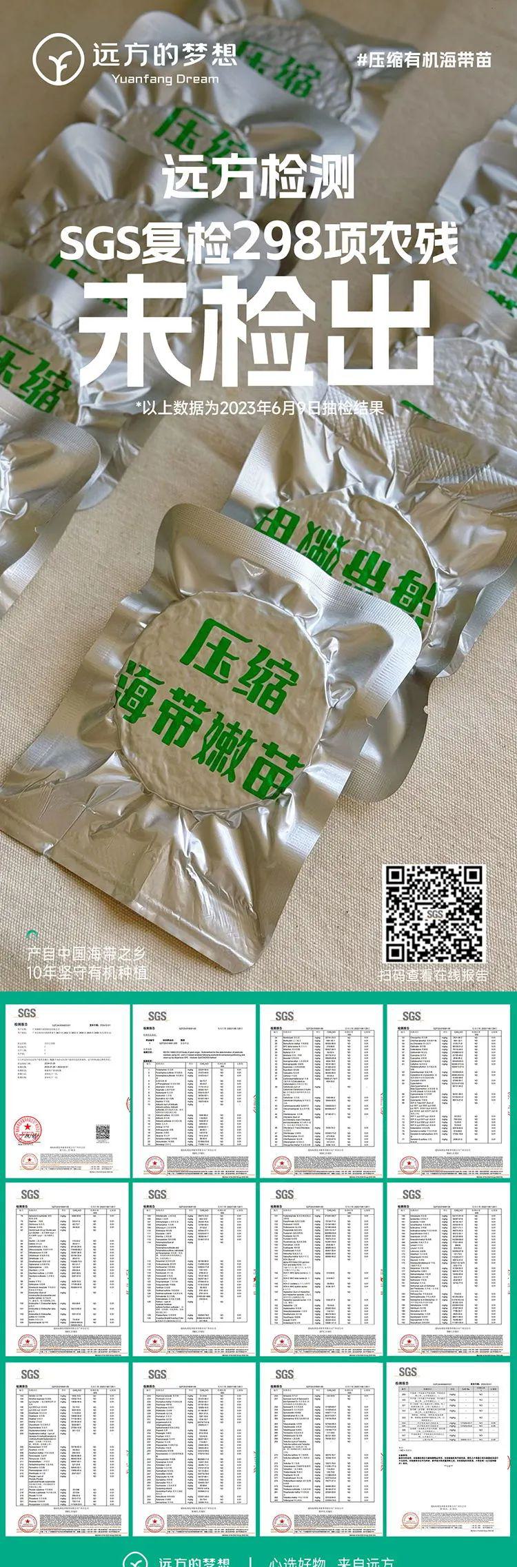 远方的梦想压缩有机海带苗 - 第5张 远方的梦想压缩有机海带苗 - 第5张
