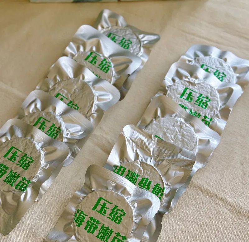 远方的梦想压缩有机海带苗 - 第6张 远方的梦想压缩有机海带苗 - 第6张