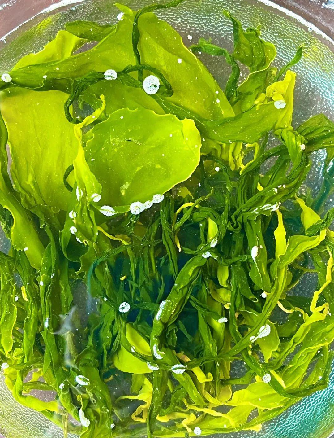 远方的梦想压缩有机海带苗 - 第10张 远方的梦想压缩有机海带苗 - 第10张