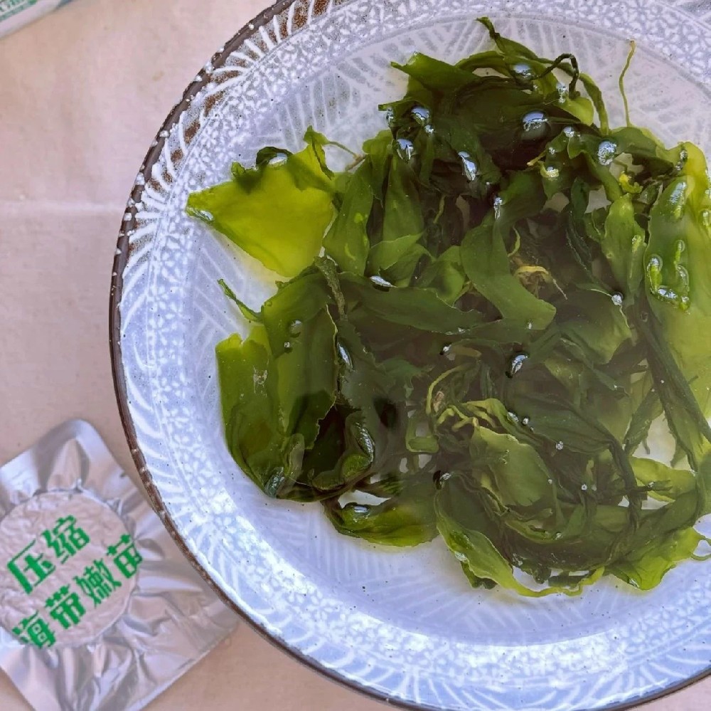远方的梦想压缩有机海带苗 - 第1张 远方的梦想压缩有机海带苗 - 第1张