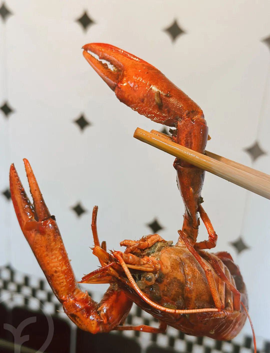 麻辣小龙虾 - 第31张 麻辣小龙虾 - 第31张