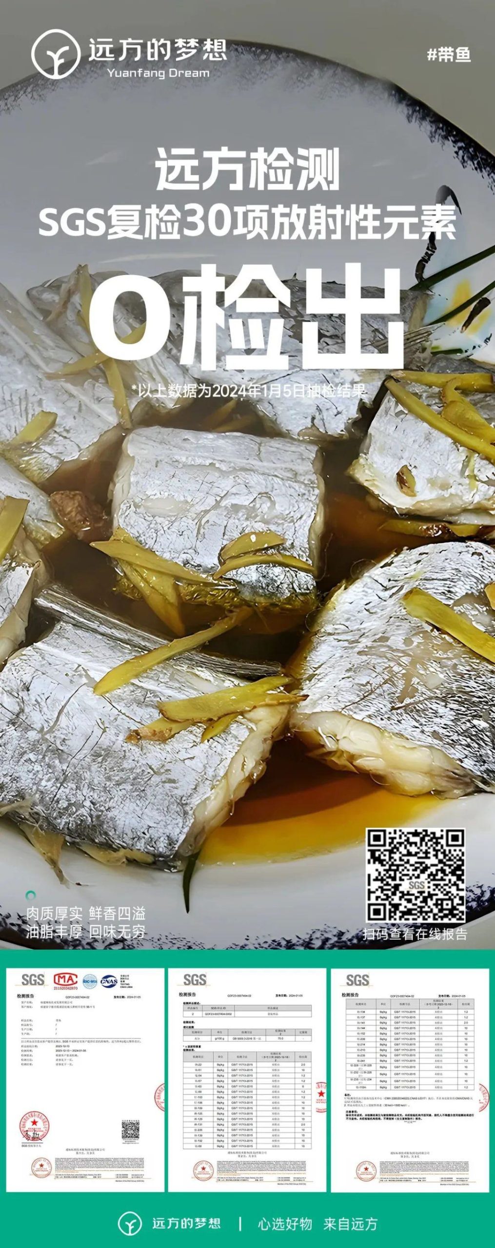 远方的梦想海鲜频道 | 雷达网带鱼 - 第9张 远方的梦想海鲜频道 | 雷达网带鱼 - 第9张