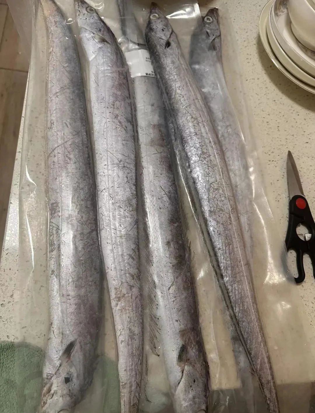 远方的梦想海鲜频道 | 雷达网带鱼 - 第20张 远方的梦想海鲜频道 | 雷达网带鱼 - 第20张