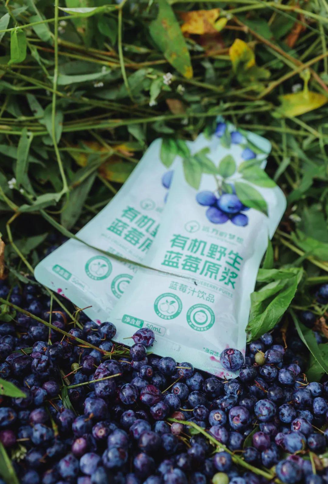 远方的梦想有机野生蓝莓原浆 - 第2张 远方的梦想有机野生蓝莓原浆 - 第2张