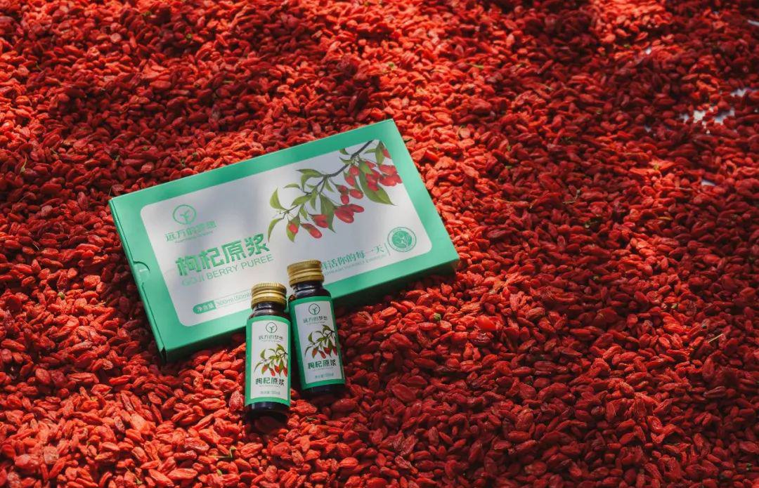 远方的梦想枸杞原浆 - 第14张 远方的梦想枸杞原浆 - 第14张