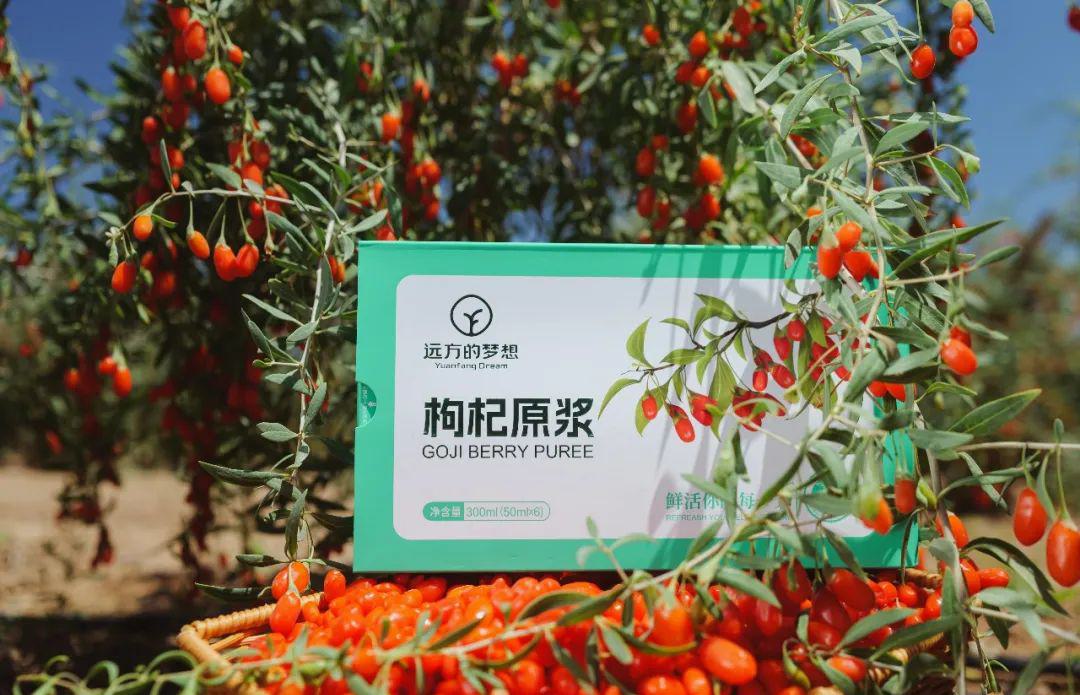 远方的梦想枸杞原浆 - 第28张 远方的梦想枸杞原浆 - 第28张