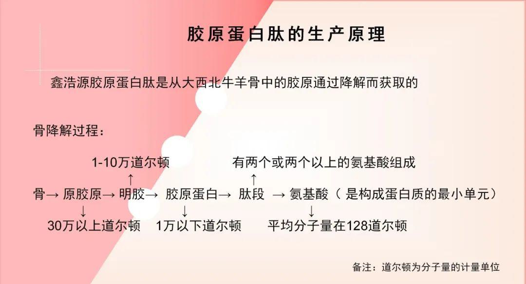 远方的梦想骨胶原蛋白肽粉 - 第7张 远方的梦想骨胶原蛋白肽粉 - 第7张