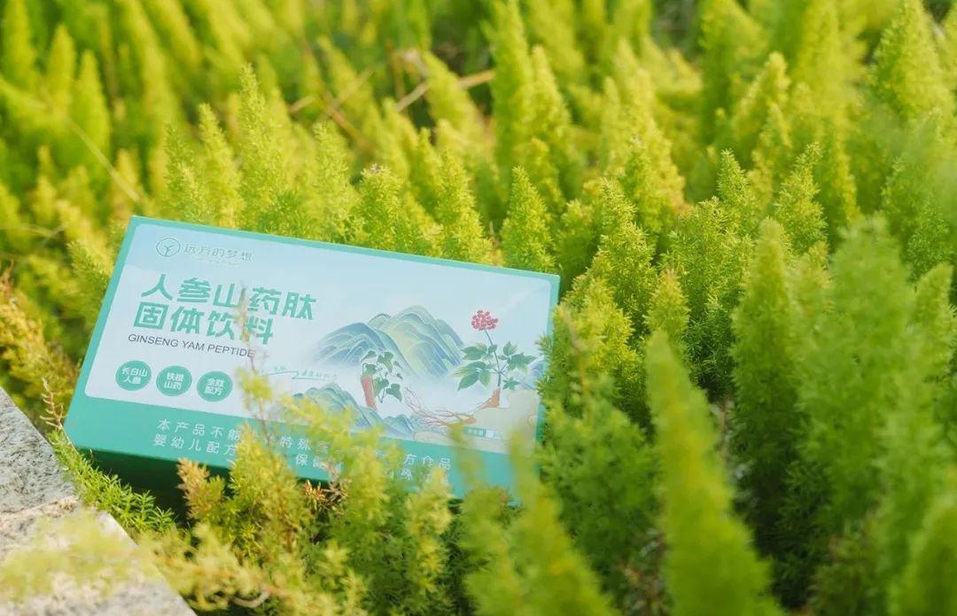 人参山药肽固体饮料 - 第13张 人参山药肽固体饮料 - 第13张