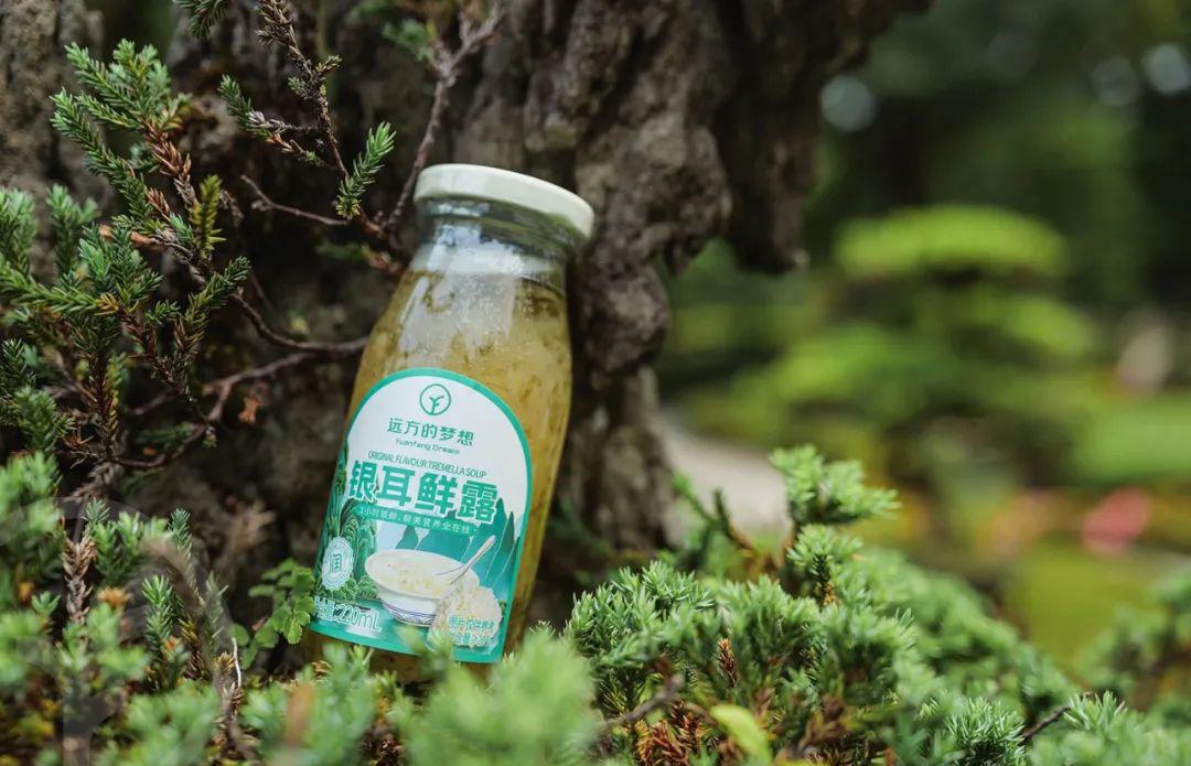 远方的梦想银耳鲜露 - 第11张 远方的梦想银耳鲜露 - 第11张
