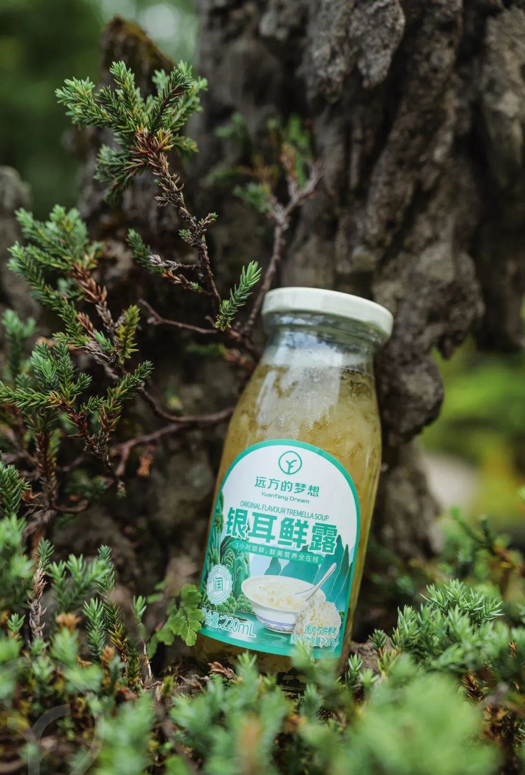 远方的梦想银耳鲜露 - 第28张 远方的梦想银耳鲜露 - 第28张