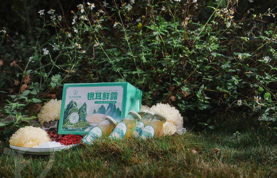 远方的梦想银耳鲜露 - 第29张 远方的梦想银耳鲜露 - 第29张