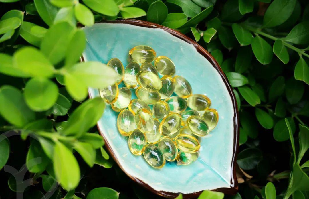 灵芝孢子油软胶囊 - 第34张