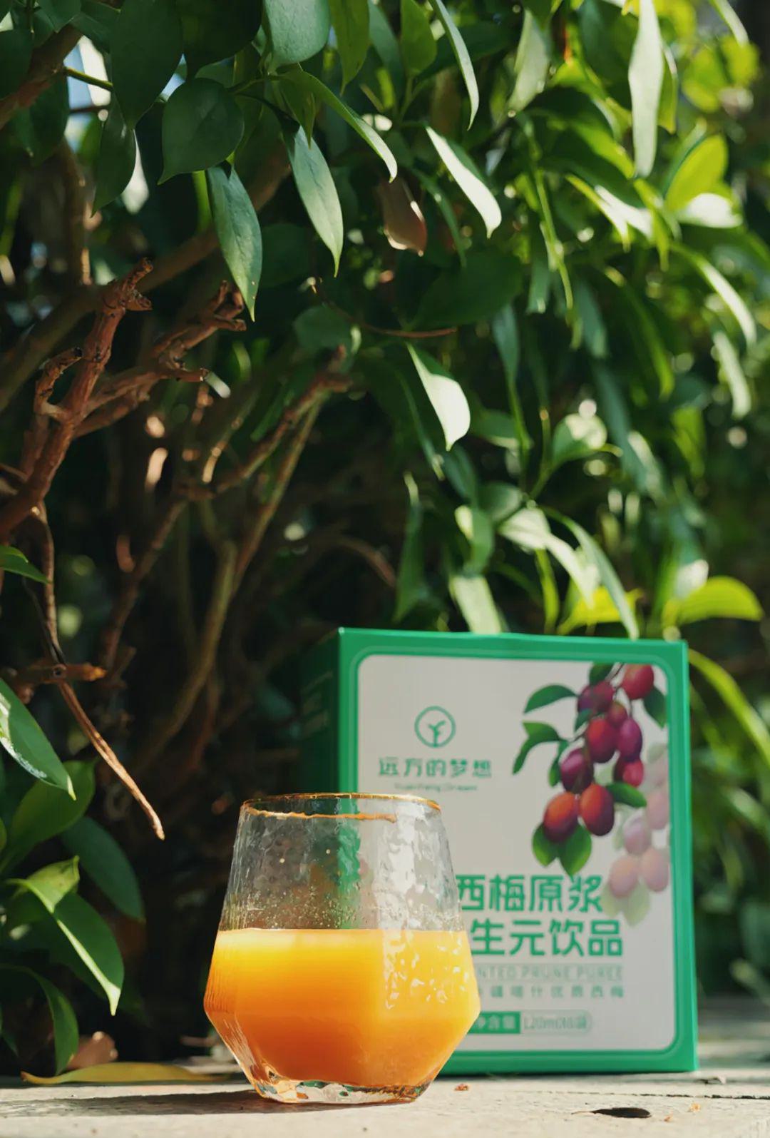 远方的梦想西梅原浆后生元饮品 - 第9张 远方的梦想西梅原浆后生元饮品 - 第9张