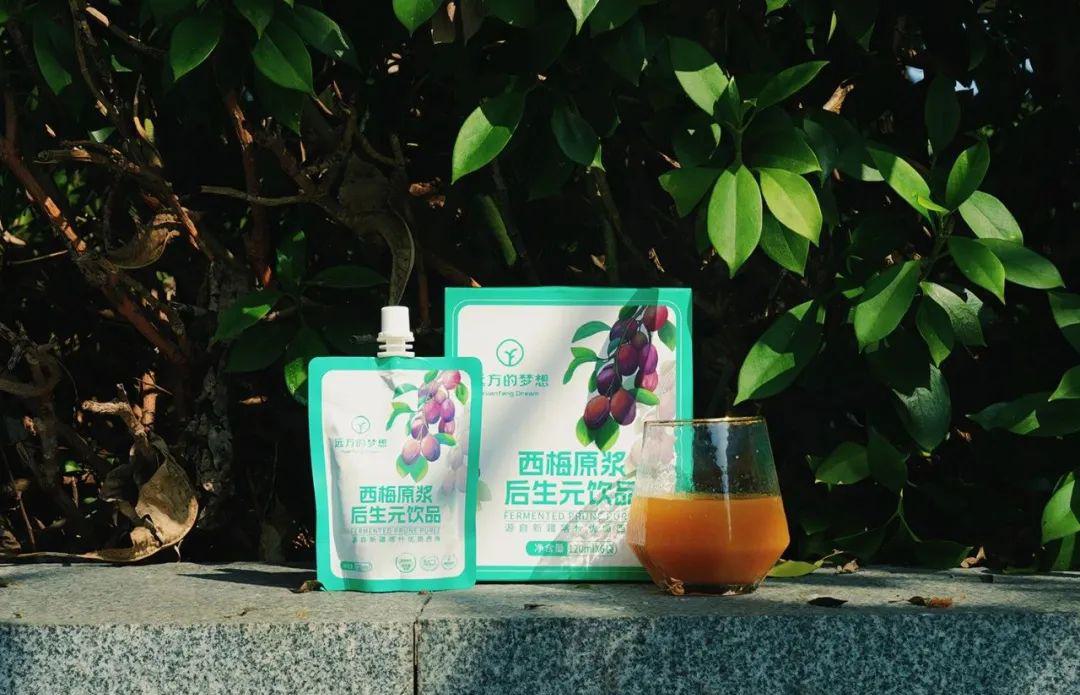 远方的梦想西梅原浆后生元饮品 - 第14张 远方的梦想西梅原浆后生元饮品 - 第14张