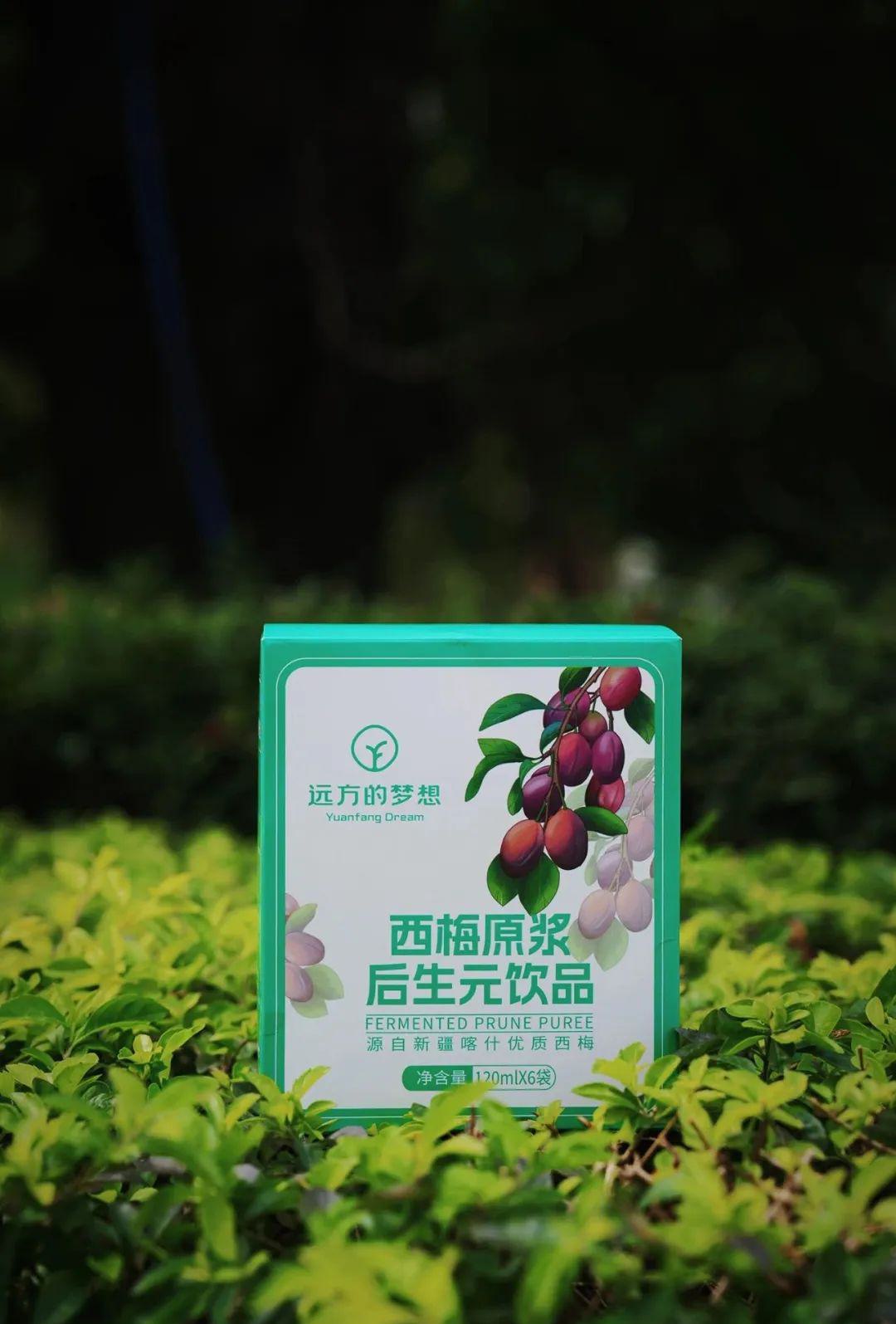 远方的梦想西梅原浆后生元饮品 - 第15张 远方的梦想西梅原浆后生元饮品 - 第15张