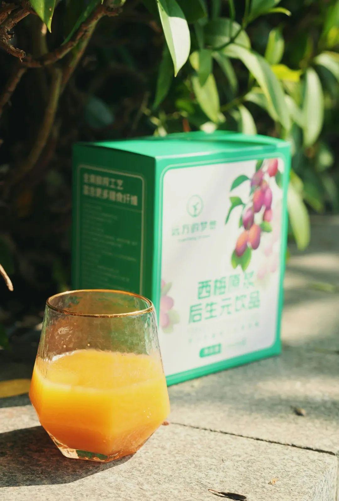 远方的梦想西梅原浆后生元饮品 - 第19张 远方的梦想西梅原浆后生元饮品 - 第19张