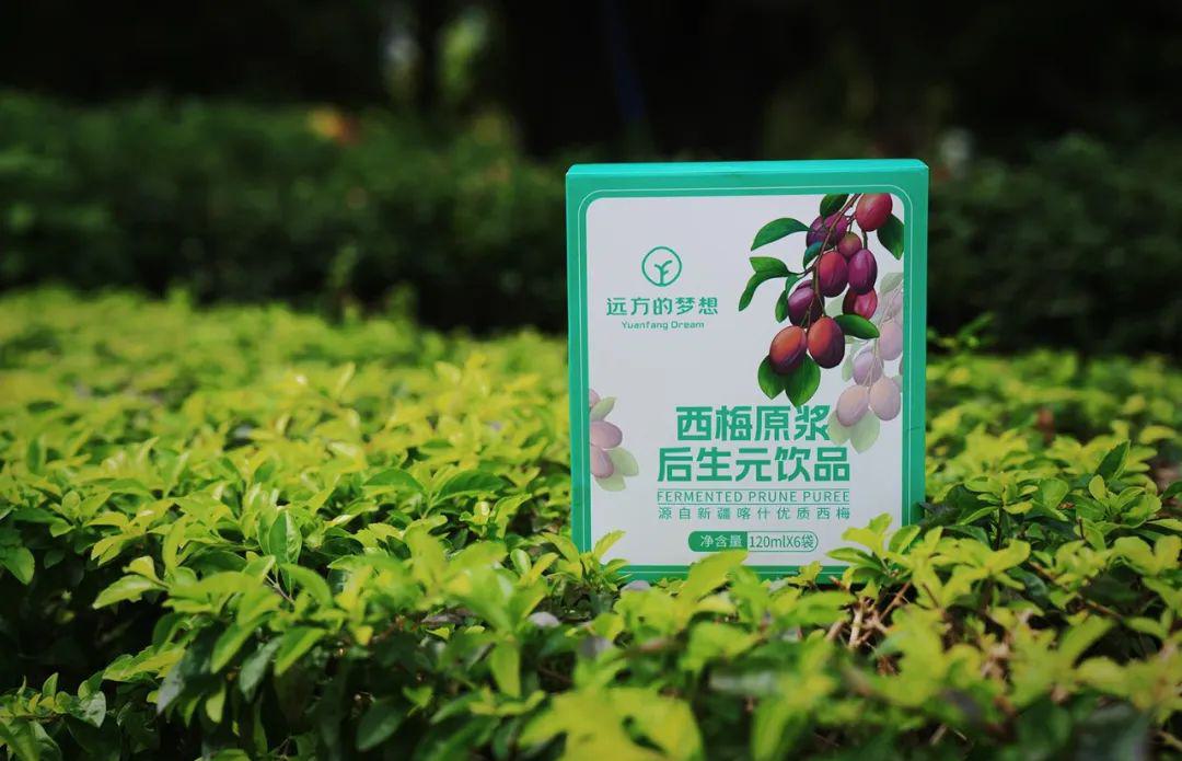 远方的梦想西梅原浆后生元饮品 - 第25张 远方的梦想西梅原浆后生元饮品 - 第25张