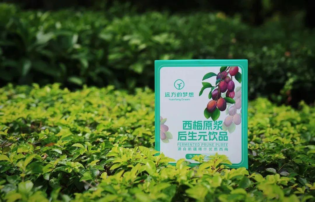 远方的梦想西梅原浆后生元饮品 - 第27张 远方的梦想西梅原浆后生元饮品 - 第27张