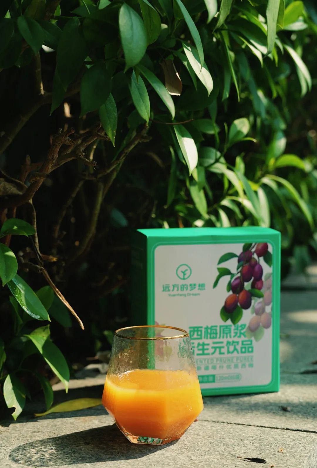 远方的梦想西梅原浆后生元饮品 - 第32张 远方的梦想西梅原浆后生元饮品 - 第32张