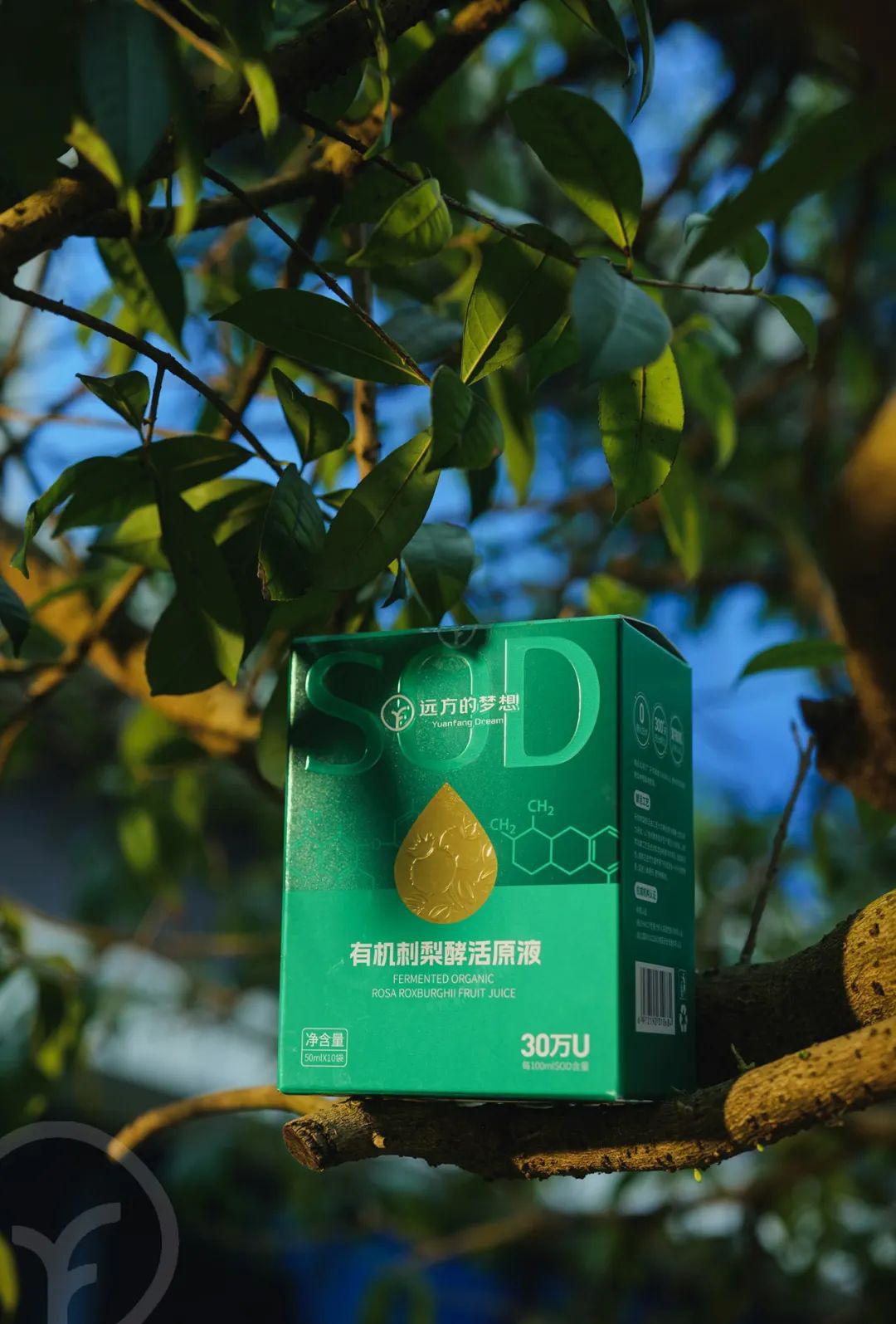 远方的梦想有机刺梨酵活原液 - 第3张 远方的梦想有机刺梨酵活原液 - 第3张