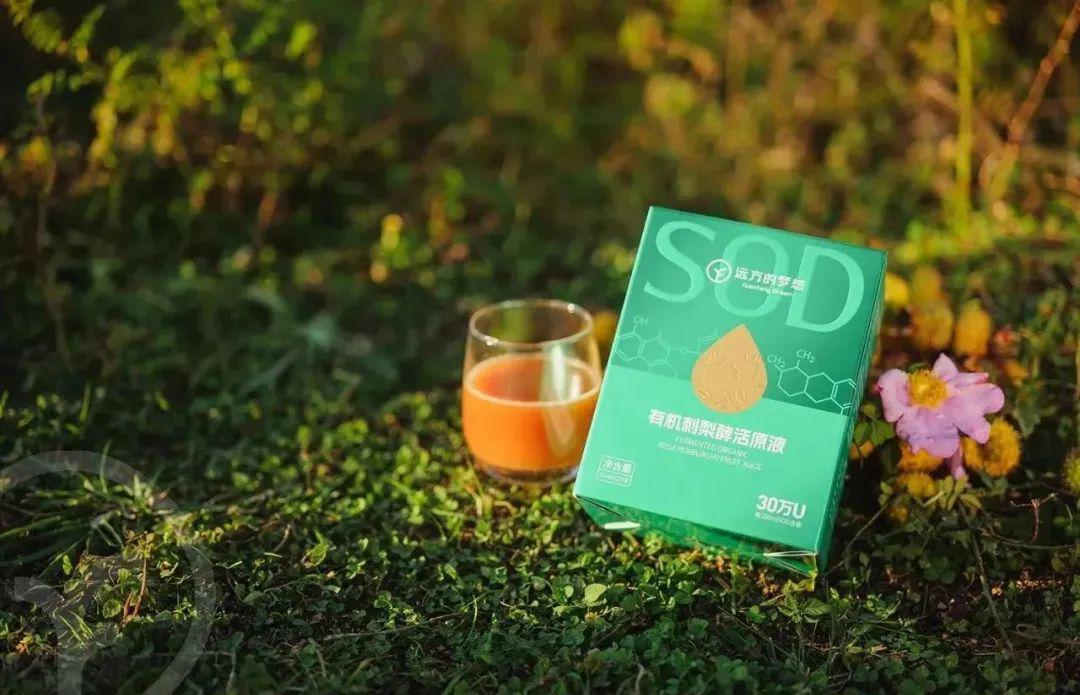 远方的梦想有机刺梨酵活原液 - 第13张 远方的梦想有机刺梨酵活原液 - 第13张