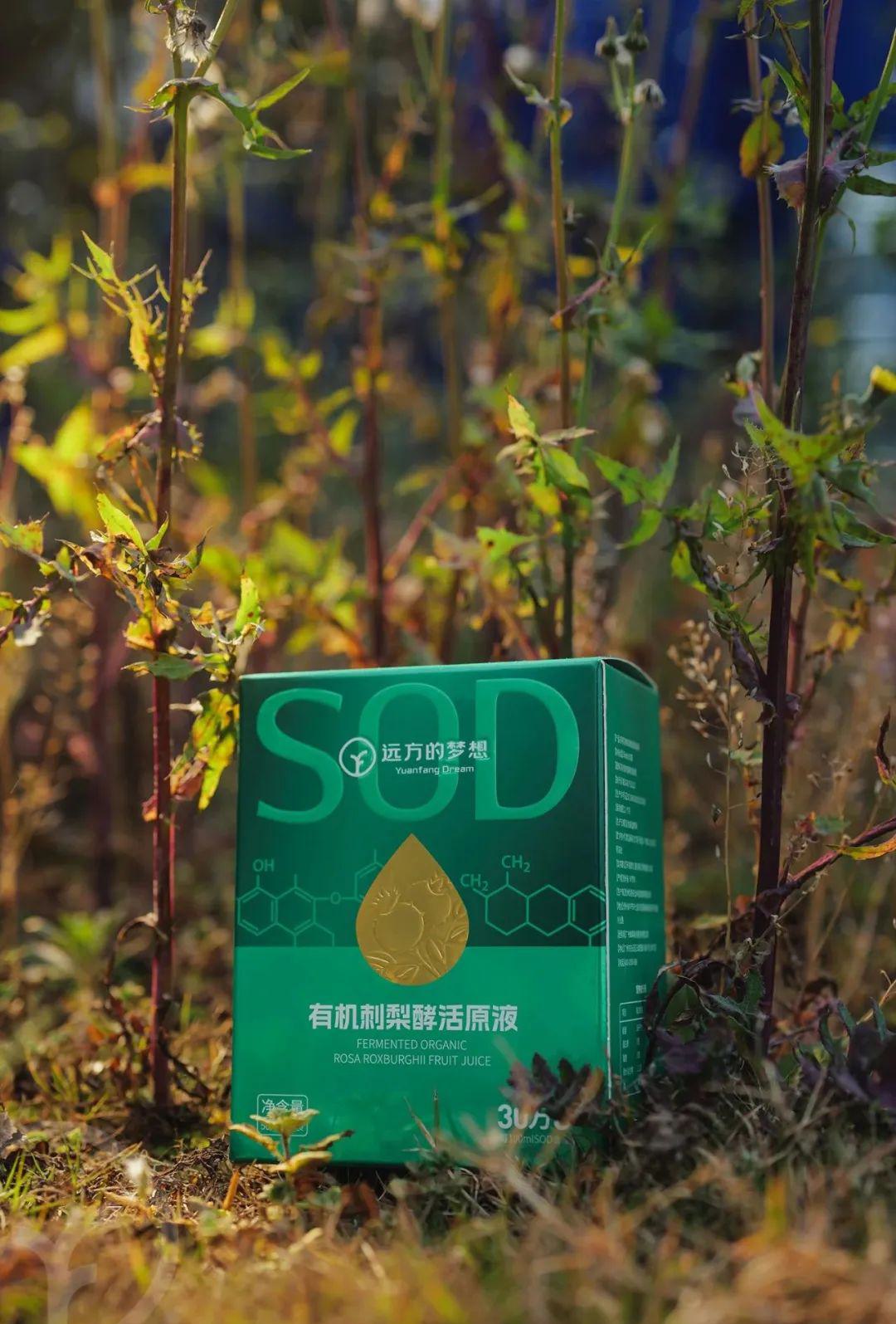 远方的梦想有机刺梨酵活原液 - 第32张 远方的梦想有机刺梨酵活原液 - 第32张
