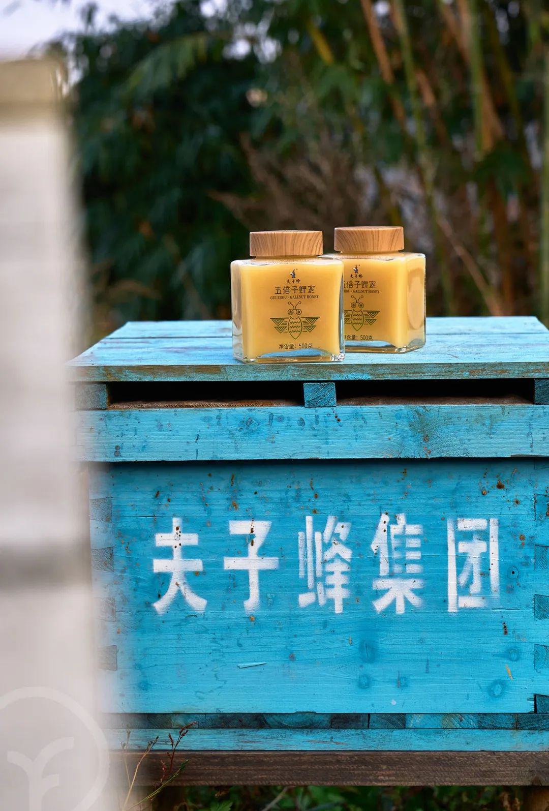 五倍子蜂蜜 - 第25张 五倍子蜂蜜 - 第25张