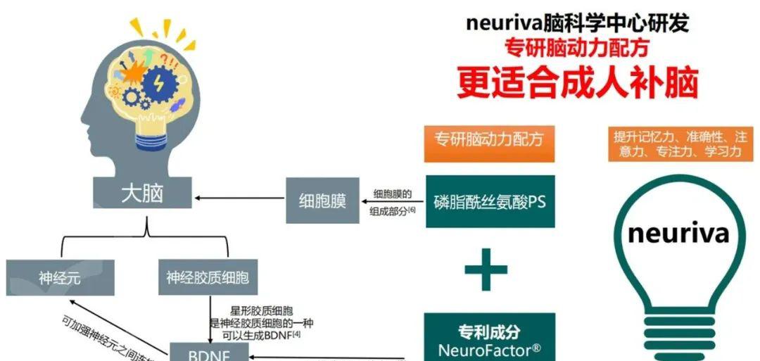 neuriva脑动力 - 第12张 neuriva脑动力 - 第12张