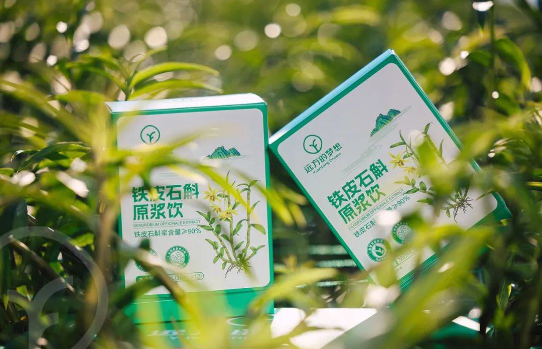 远方的梦想铁皮石斛原浆饮 - 第5张 远方的梦想铁皮石斛原浆饮 - 第5张
