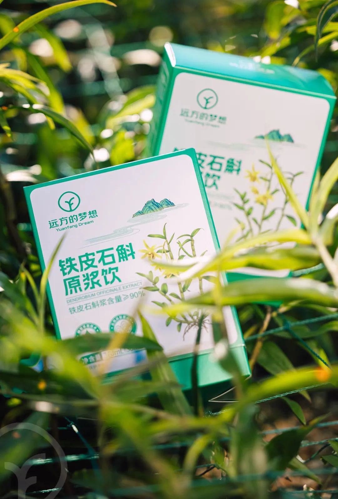 远方的梦想铁皮石斛原浆饮 - 第8张 远方的梦想铁皮石斛原浆饮 - 第8张