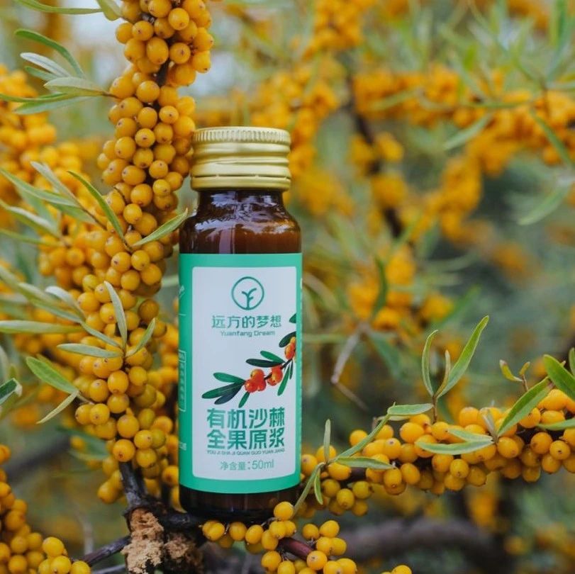 远方的梦想有机沙棘全果原浆 - 第1张 远方的梦想有机沙棘全果原浆 - 第1张
