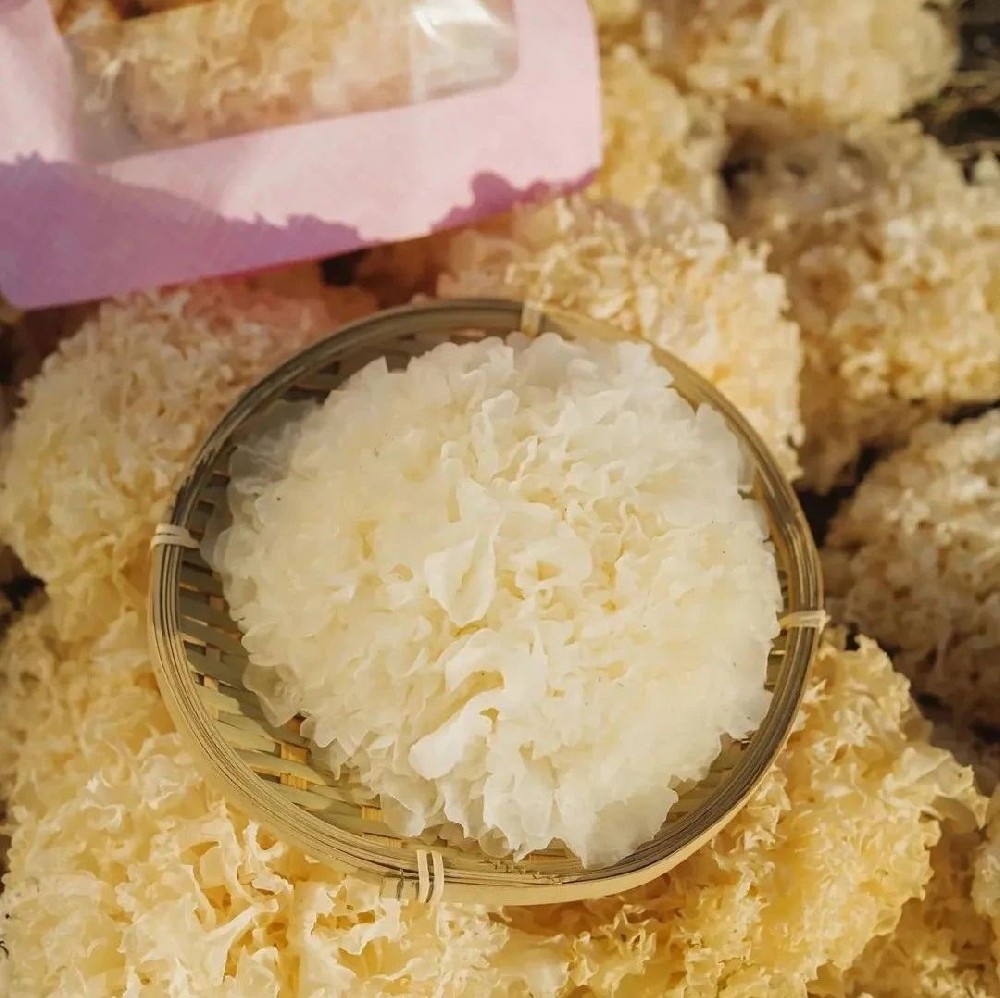 有机银耳 - 第1张 有机银耳 - 第1张