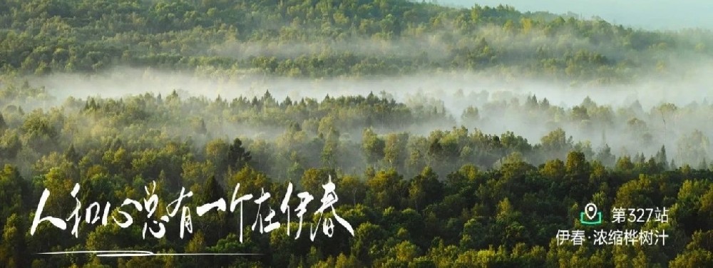 2024山海协作·伊春远方白桦产业溯源周活动盛大开幕 - 第1张