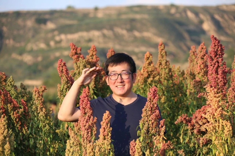 致敬每一个暂时不信任远方的人 - 第1张 致敬每一个暂时不信任远方的人 - 第1张