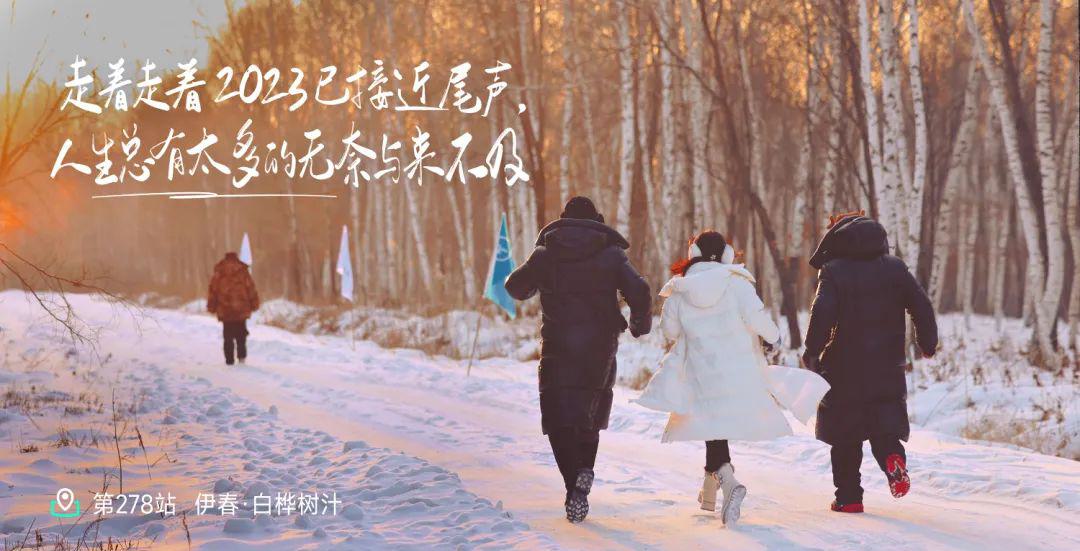 一起见证远方的白桦传奇远方好物.jpg