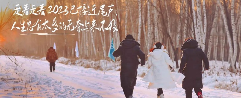 一起见证远方的白桦传奇 - 第1张 一起见证远方的白桦传奇 - 第1张