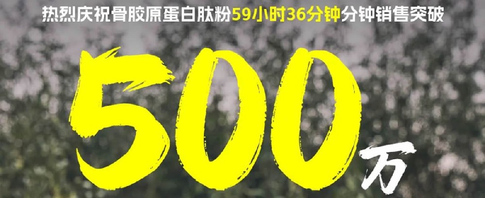 第13个有机日 - 第1张 第13个有机日 - 第1张