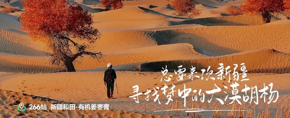 我所看见的远方 - 第1张 我所看见的远方 - 第1张