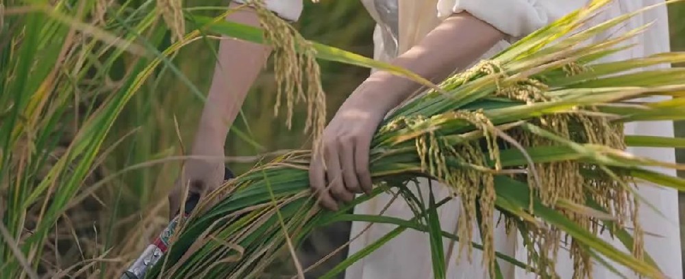 成为更好的自己 - 第1张 成为更好的自己 - 第1张